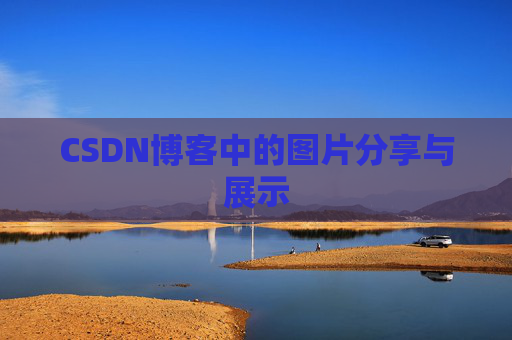 CSDN博客中的图片分享与展示
