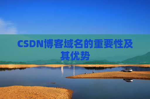CSDN博客域名的重要性及其优势